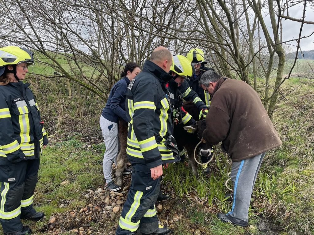 2024-03-25 Einsatz Tierrettung